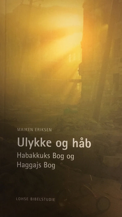 Ulykke og håb Undirvísingartilfar Bøkur