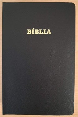 Bíbliur