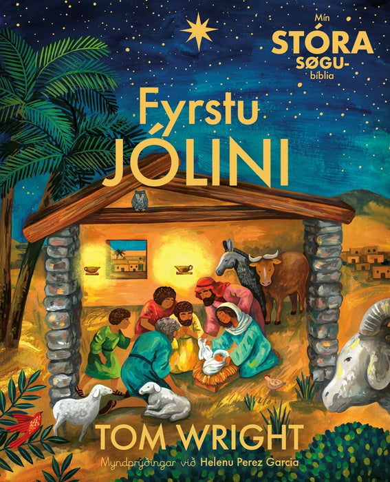 Fyrstu jólini - Mín stóra søgubíblia